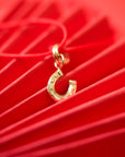 Horseshoe Charm