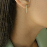 Shimmer Rectangular Earrings